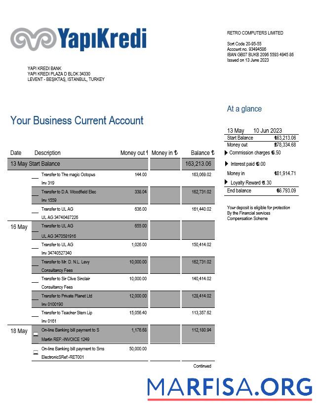 Downloadable Yapi Kredi Bank organization account statement Word and PDF template